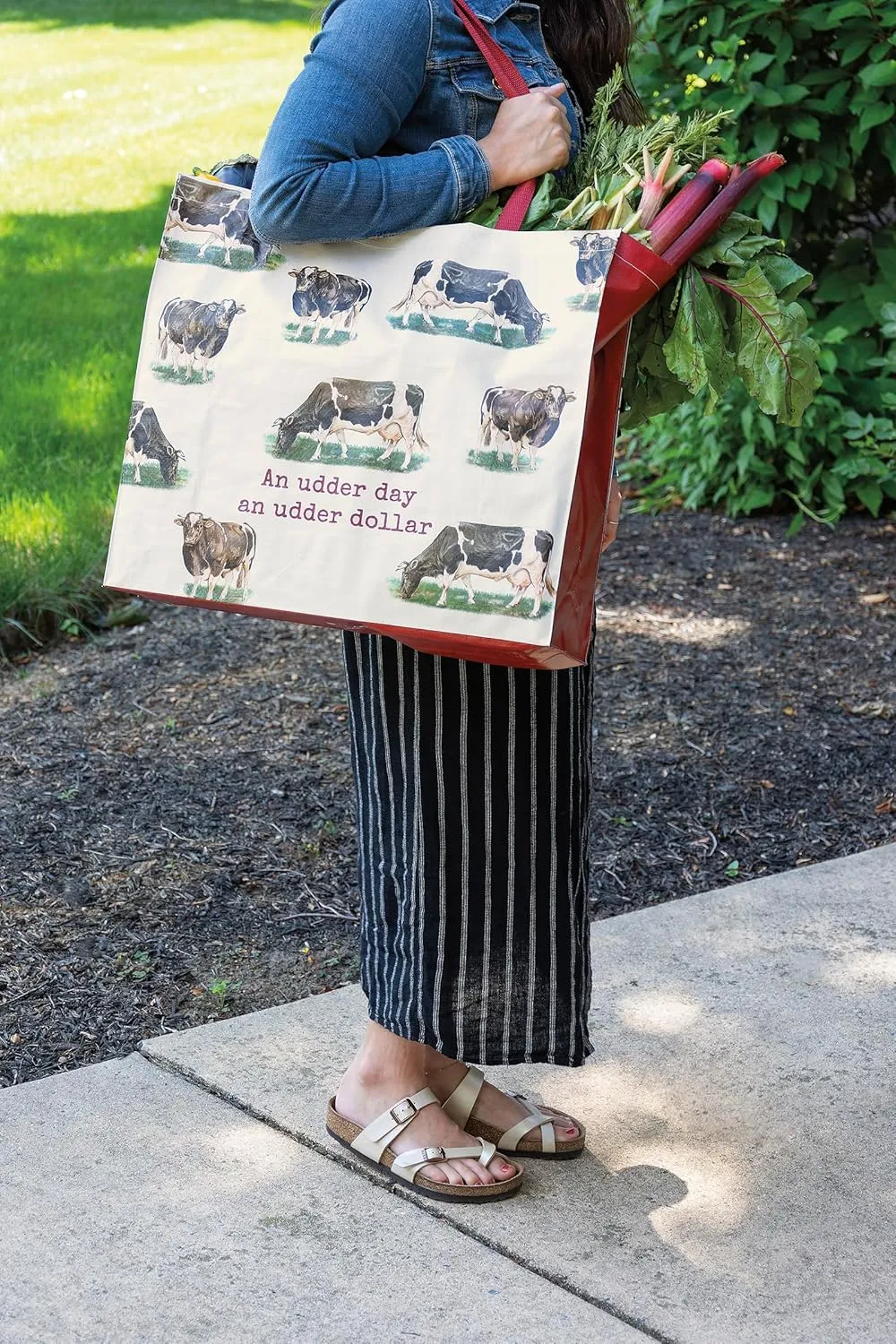 Primitives by Kathy Tote Bag